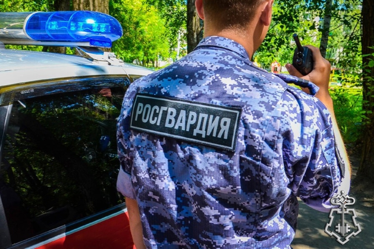 В Хабаровском крае росгвардейцы задержали мужчину, пытавшегося незаконно проникнуть в чужое жилище