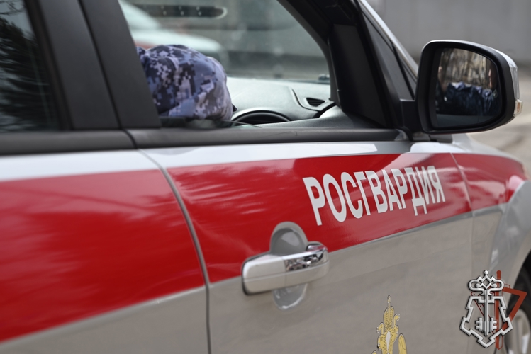 На минувшей неделе сотрудники вневедомственной охраны Росгвардии более 200 раз выезжали по сигналам «Тревога» 