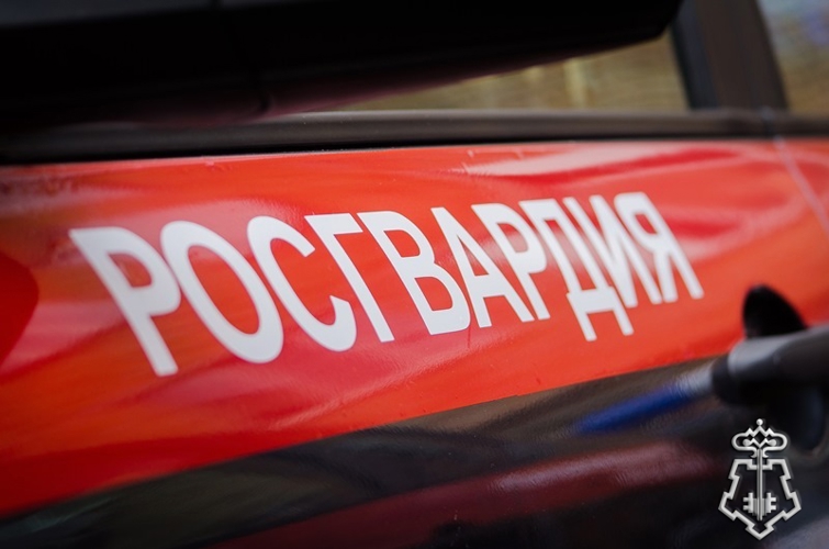 Вневедомственная охрана Росгвардии - ваш надежный партнер в сфере безопасности