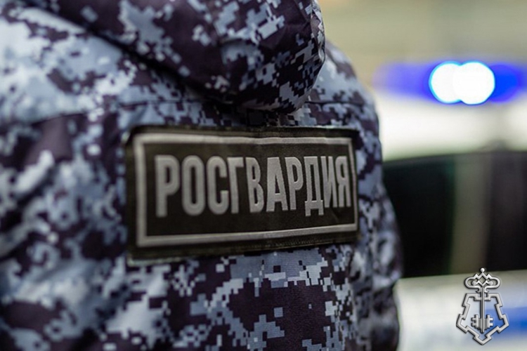 В пос. Эльбан сотрудники Росгвардии задержали молодого человека, подозреваемого в угоне автомобиля
