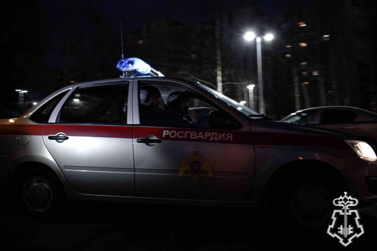 В Хабаровске сотрудники Росгвардии задержали гражданина, подозреваемого в краже медного кабеля