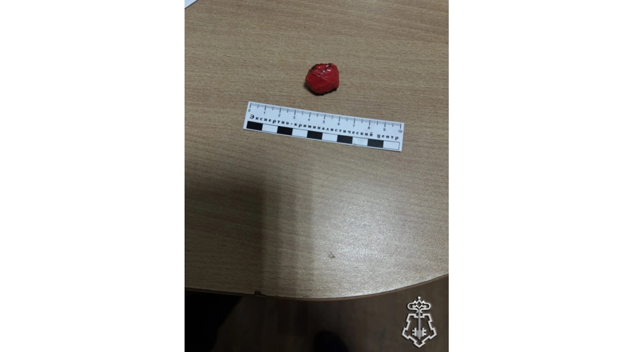 В Хабаровске сотрудники Росгвардии задержали гражданина, подозреваемого в незаконном хранении наркотических средств