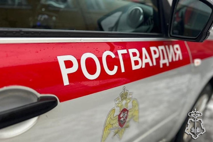 В г. Бикин сотрудники Росгвардии задержали гражданина, подозреваемого в незаконном хранении наркотических средств