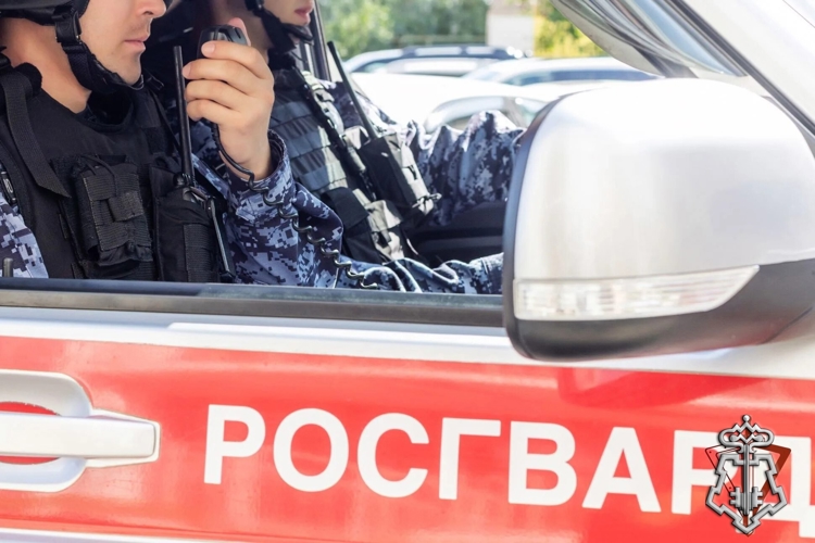 В Хабаровском крае росгвардейцы задержали виновника ДТП на угнанном автомобиле